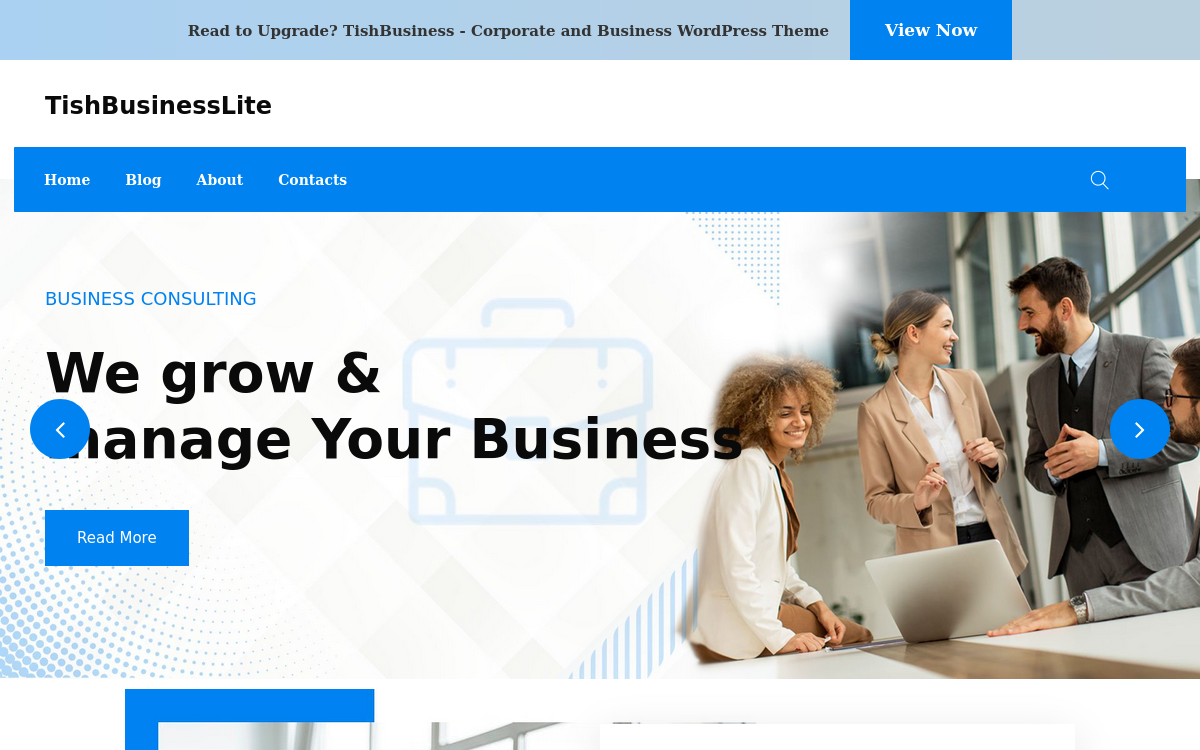 tishbusinesslite-free-corporate-and-business-wordpress-theme_280224-original